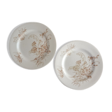 2 plates earth of iron Lunéville