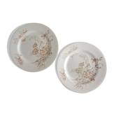 2 plates earth of iron Lunéville