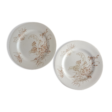 2 plates earth of iron Lunéville