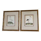 Pair of animal engravings