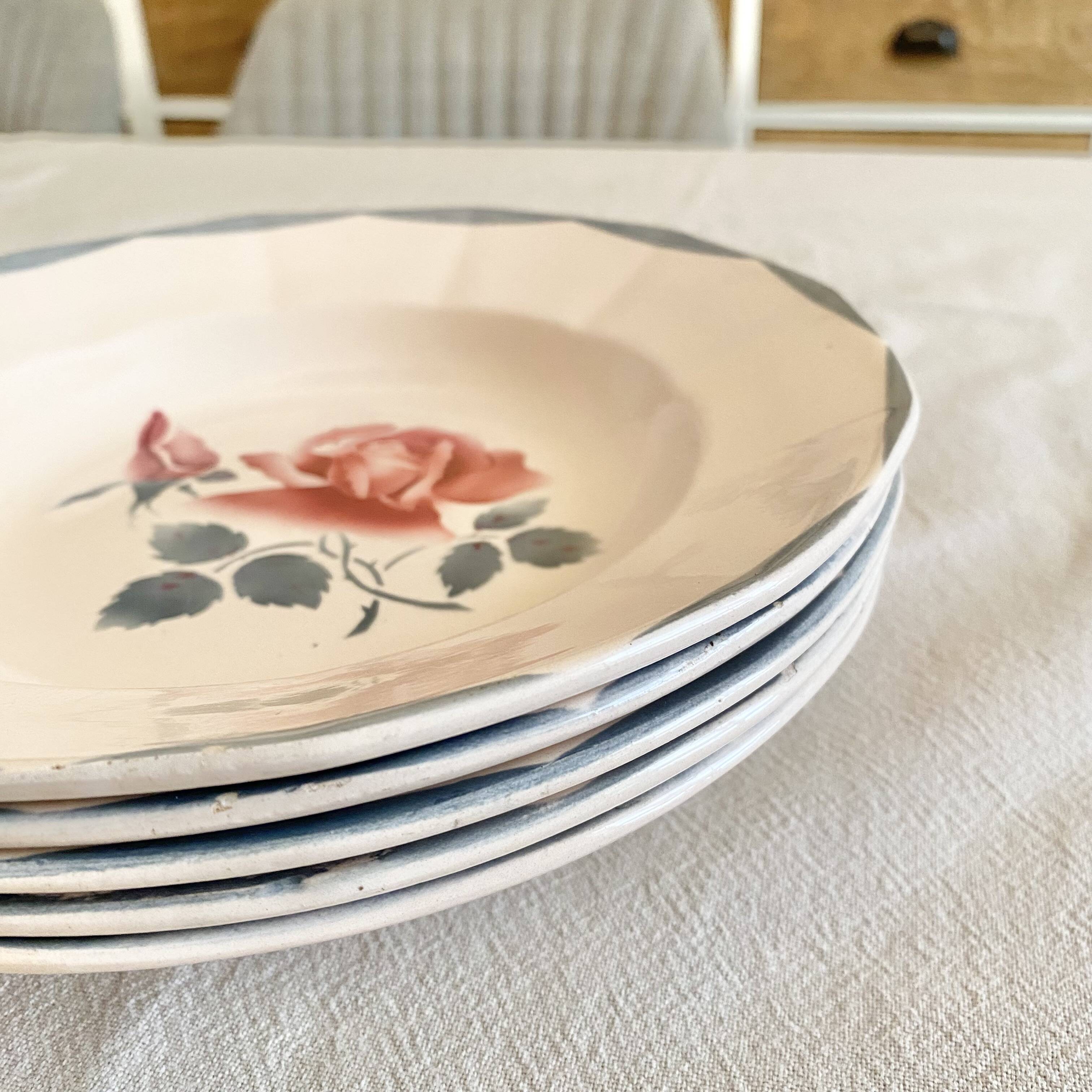 Digouin iron earth soup plates