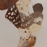 Tableau ailes de papillons
