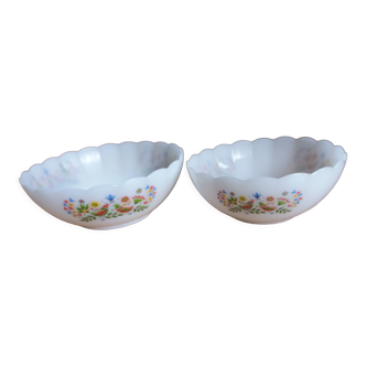 Set of 2 Arcopal salad bowls