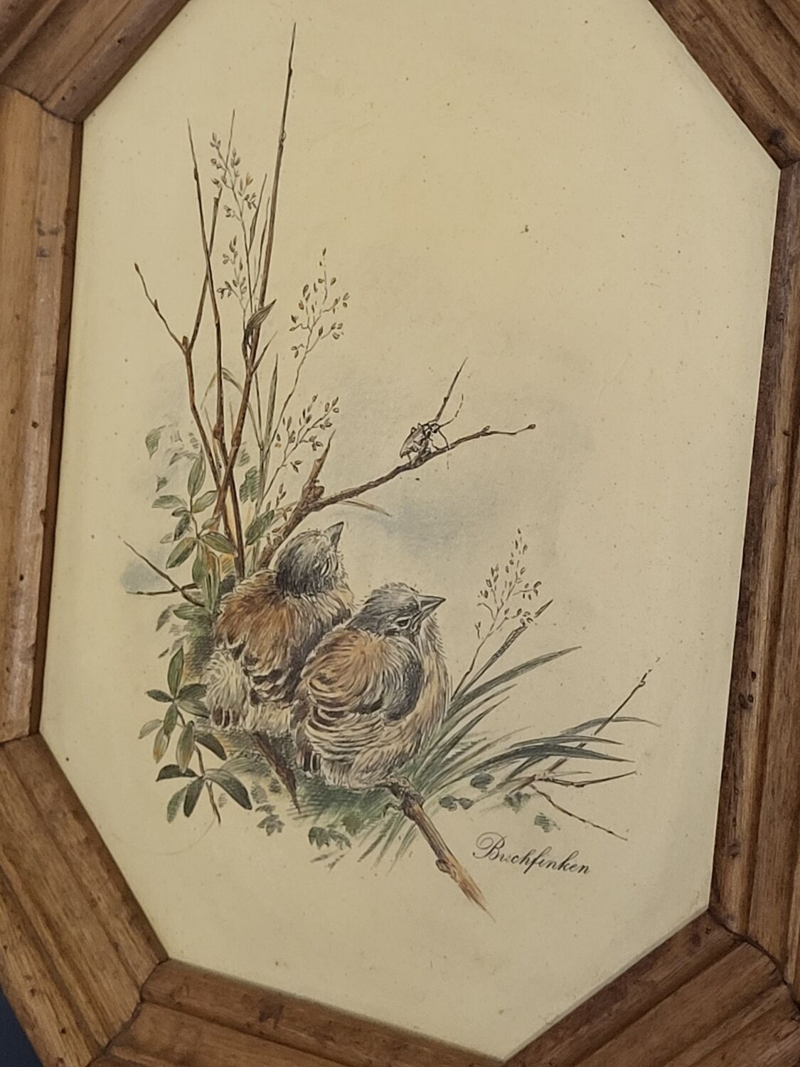 Illustration oiseaux vintage sur panneau