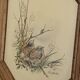 Illustration oiseaux vintage sur panneau