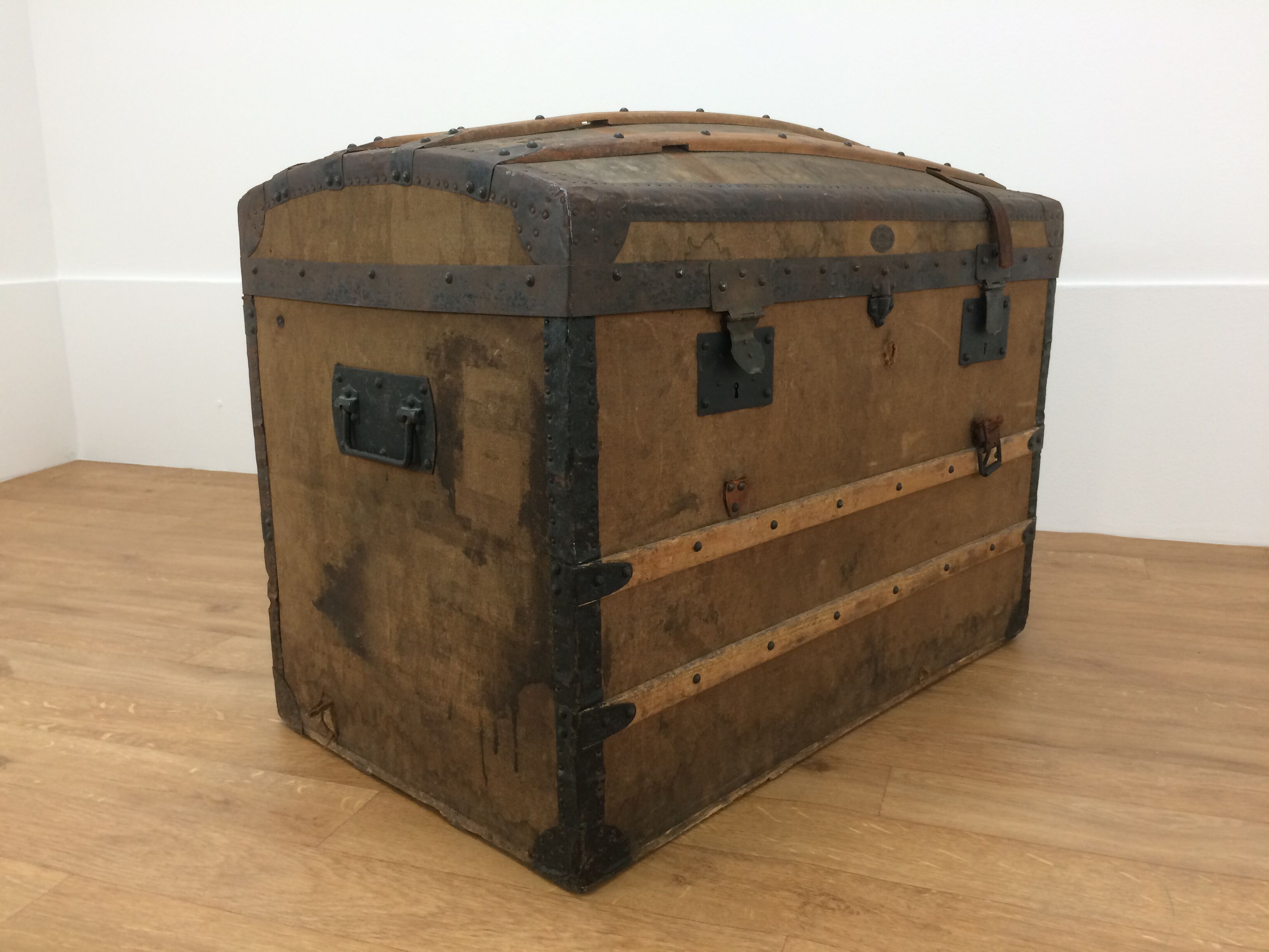 Bulging trunk at the tourist