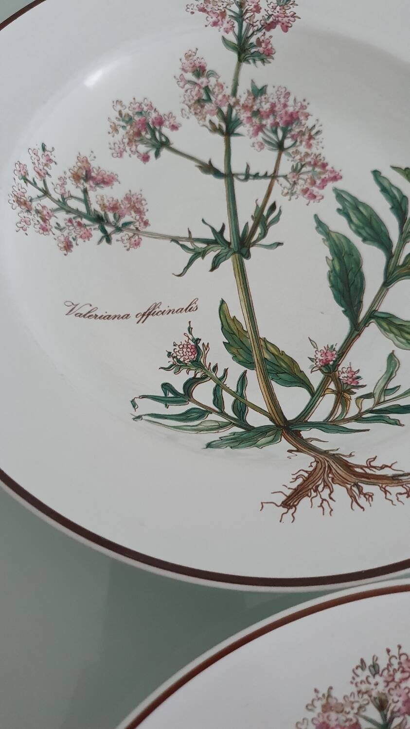 Set of 4 Villeroy and Boch plates, Botanica collection