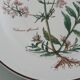 Set of 4 Villeroy and Boch plates, Botanica collection