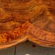 Solid walnut bed with very old walnut burl.