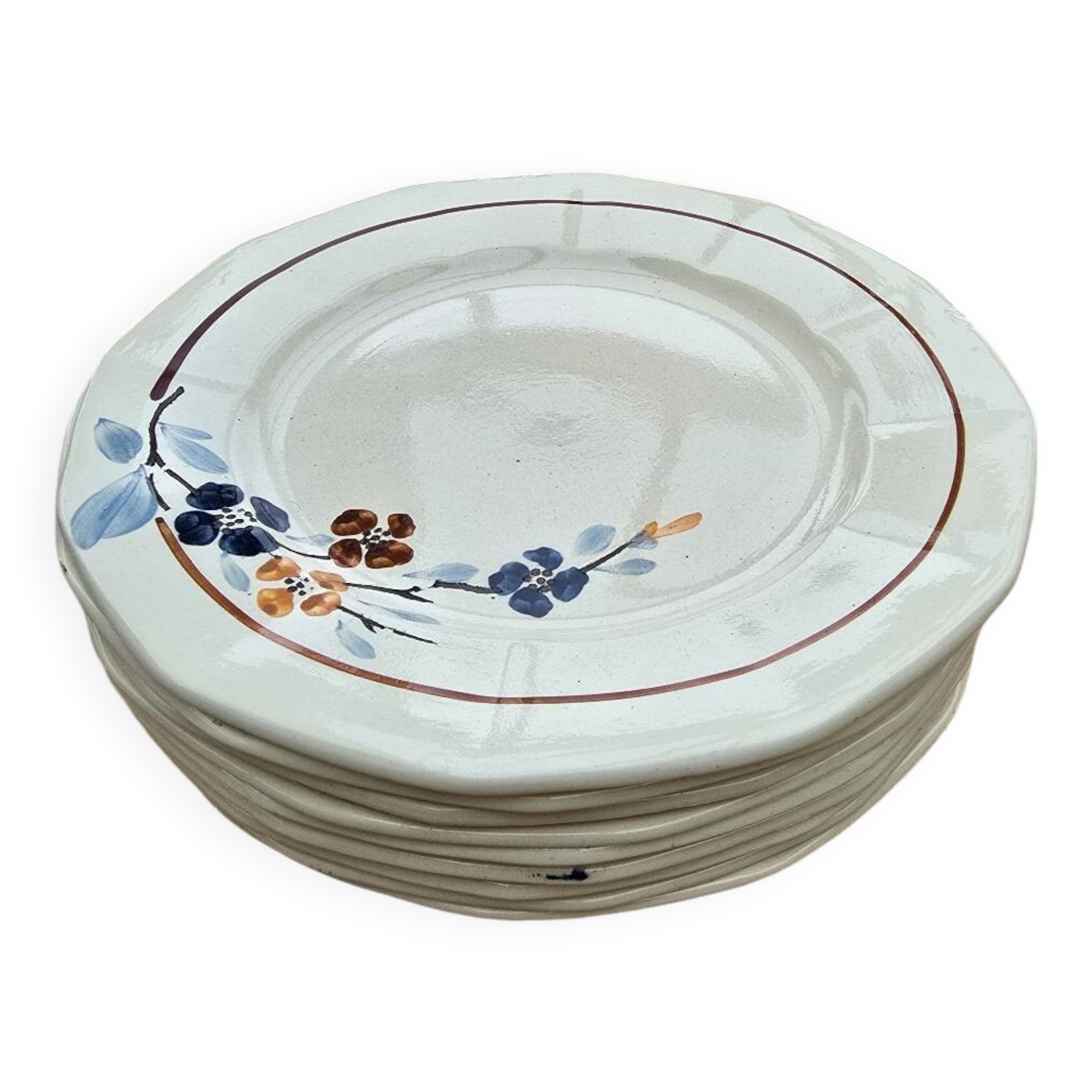 9 Sarreguemines plates model 5041