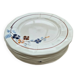 9 Sarreguemines plates model 5041