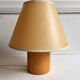 Lamp pin 1970