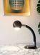 Flexible lamp eye ball space age 70