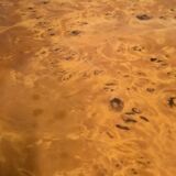 Jean-Claude Mahey coffee table for Roche Bobois, elm burl veneer, has