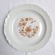 Limoges porcelain plate