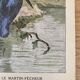 Old bird engraving - Giacomelli and Huyot - THE KING FISHER -