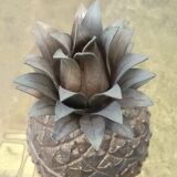 Seau à glace Mauro Manetti pour MM ananas 1970