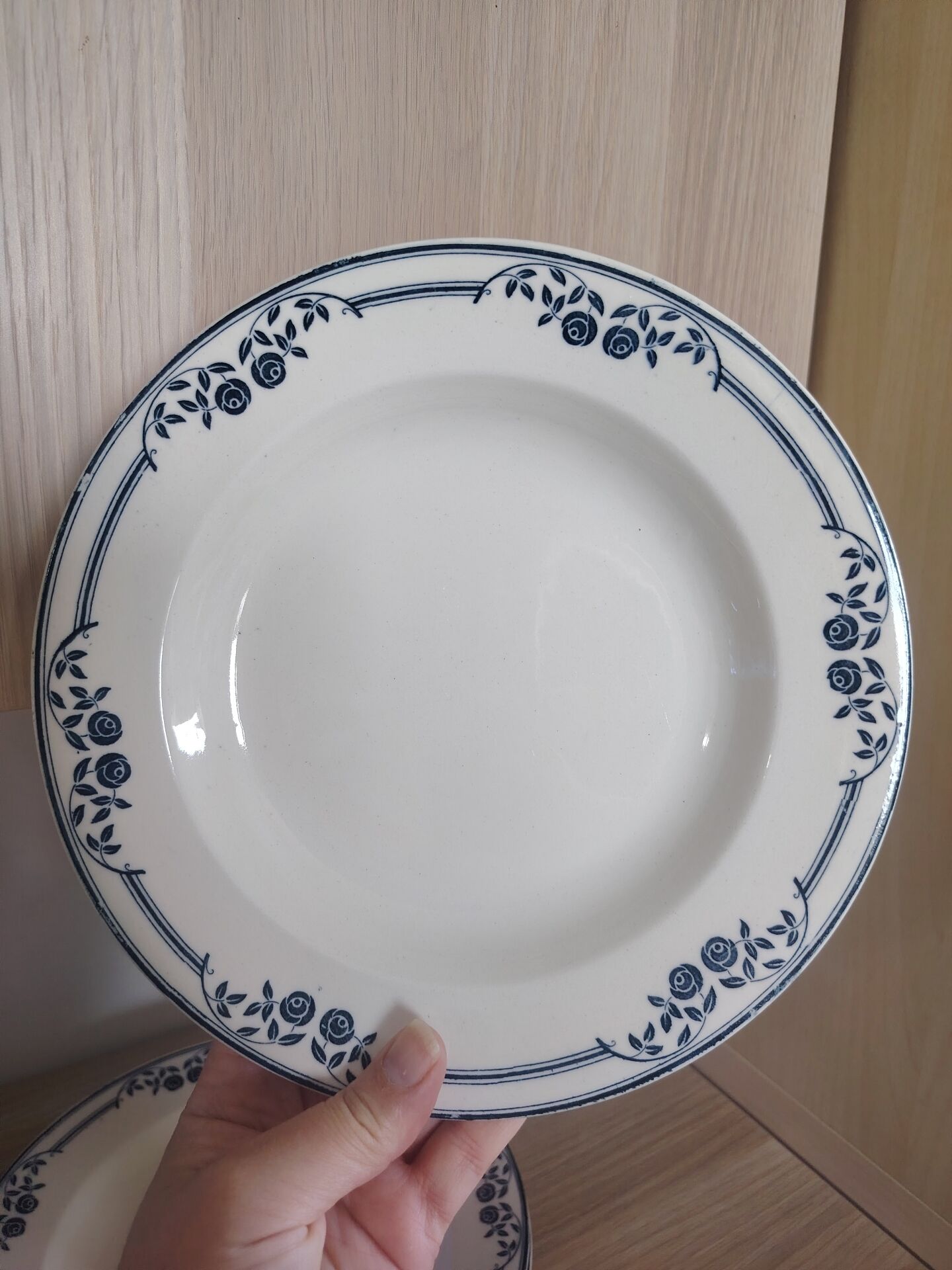 Deep plates ironstone Saussure
