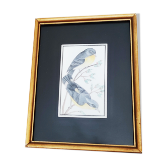 Drawing of birds