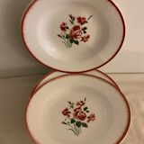 Set of 8 hollow plates made of ancient red earthenware Digoin Sarreguemines