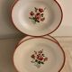 Set of 8 hollow plates made of ancient red earthenware Digoin Sarreguemines