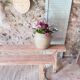 Paire de bancs de ferme