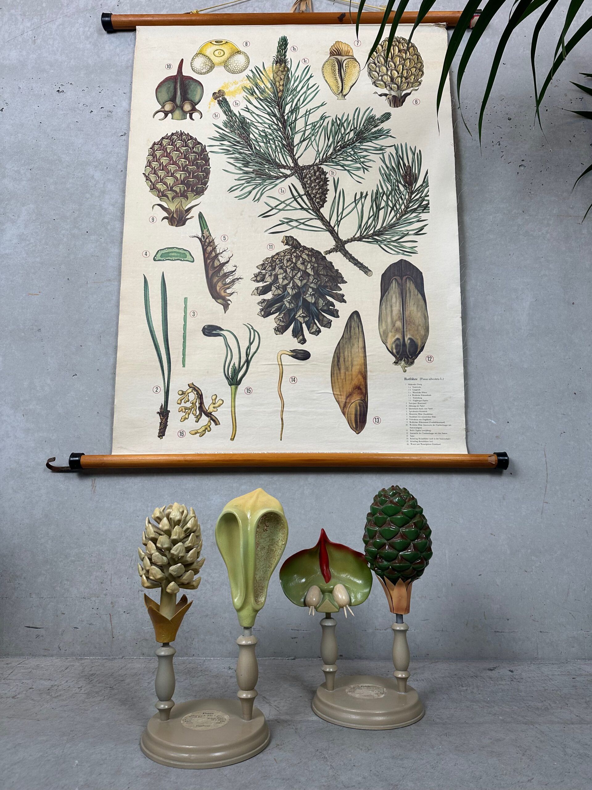 Antique linen school chart + Brendel models