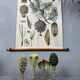 Antique linen school chart + Brendel models