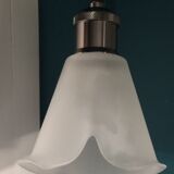 Pair white frosted glass blind