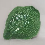 Cabbage leaf in dabbling