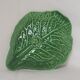 Cabbage leaf in dabbling