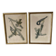 Duo of paintings signed Murr 1956 representing birds. Gilded wooden frame. Under glass.