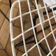 Paire de chaises par Harry Bertoia