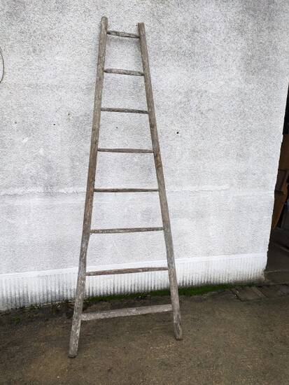 Painter's ladder, towel rack