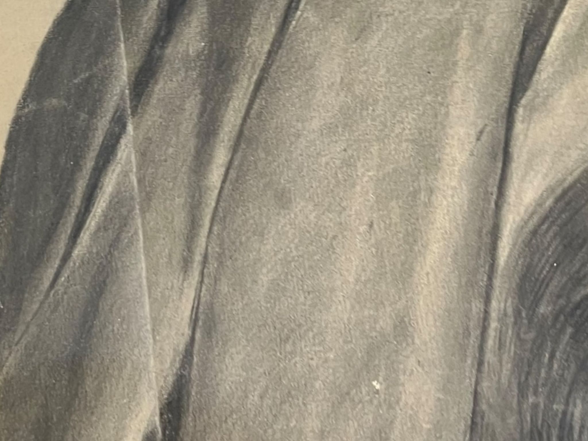 Profile of woman with drapery drawing nineteenth signed julien