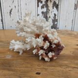 Real coral of the 70s