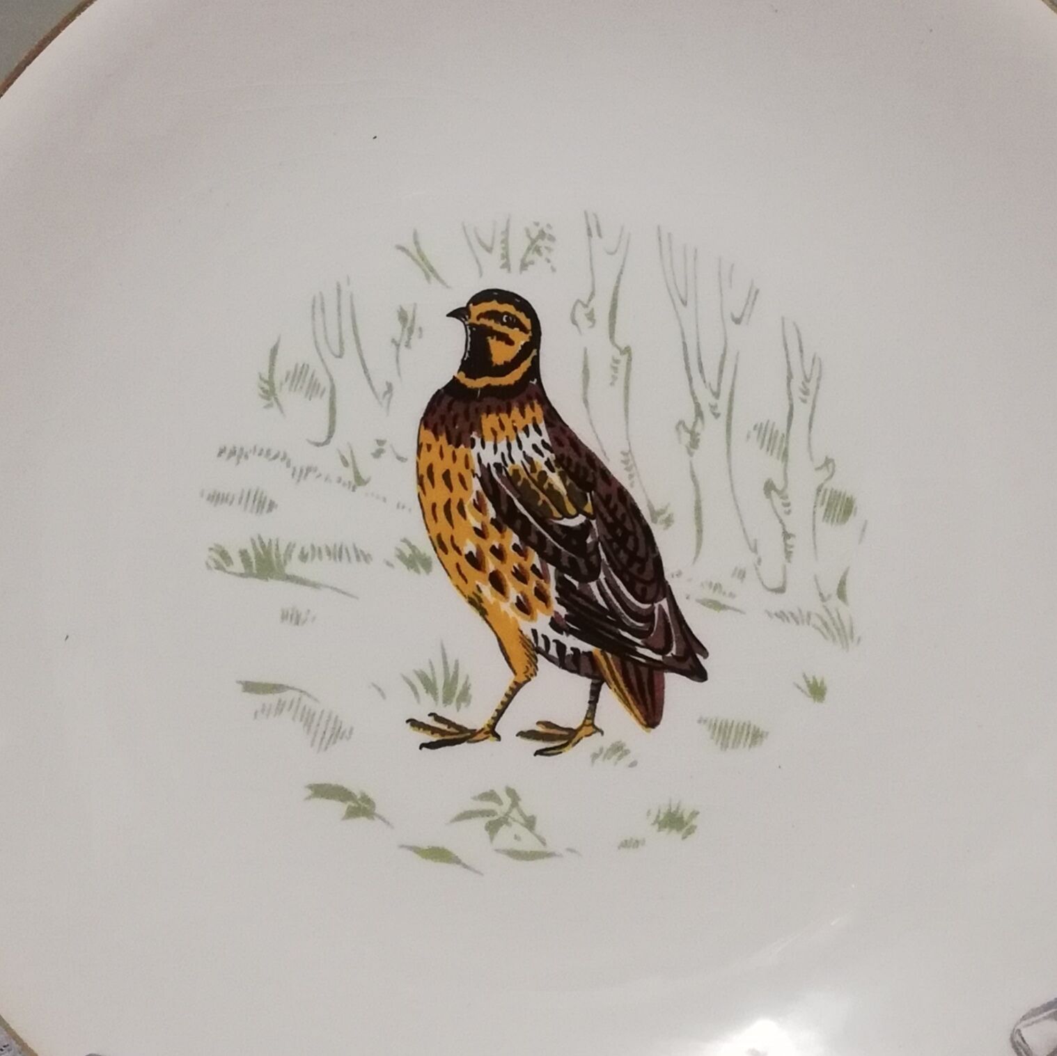 6 flat plates Gien Marly "birds of the forests"