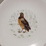 6 flat plates Gien Marly "birds of the forests"