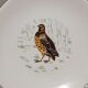 6 assiettes plates Gien Marly "oiseaux des forêts"