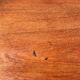 Teak enfilade Austin Suite edition from the 1960s