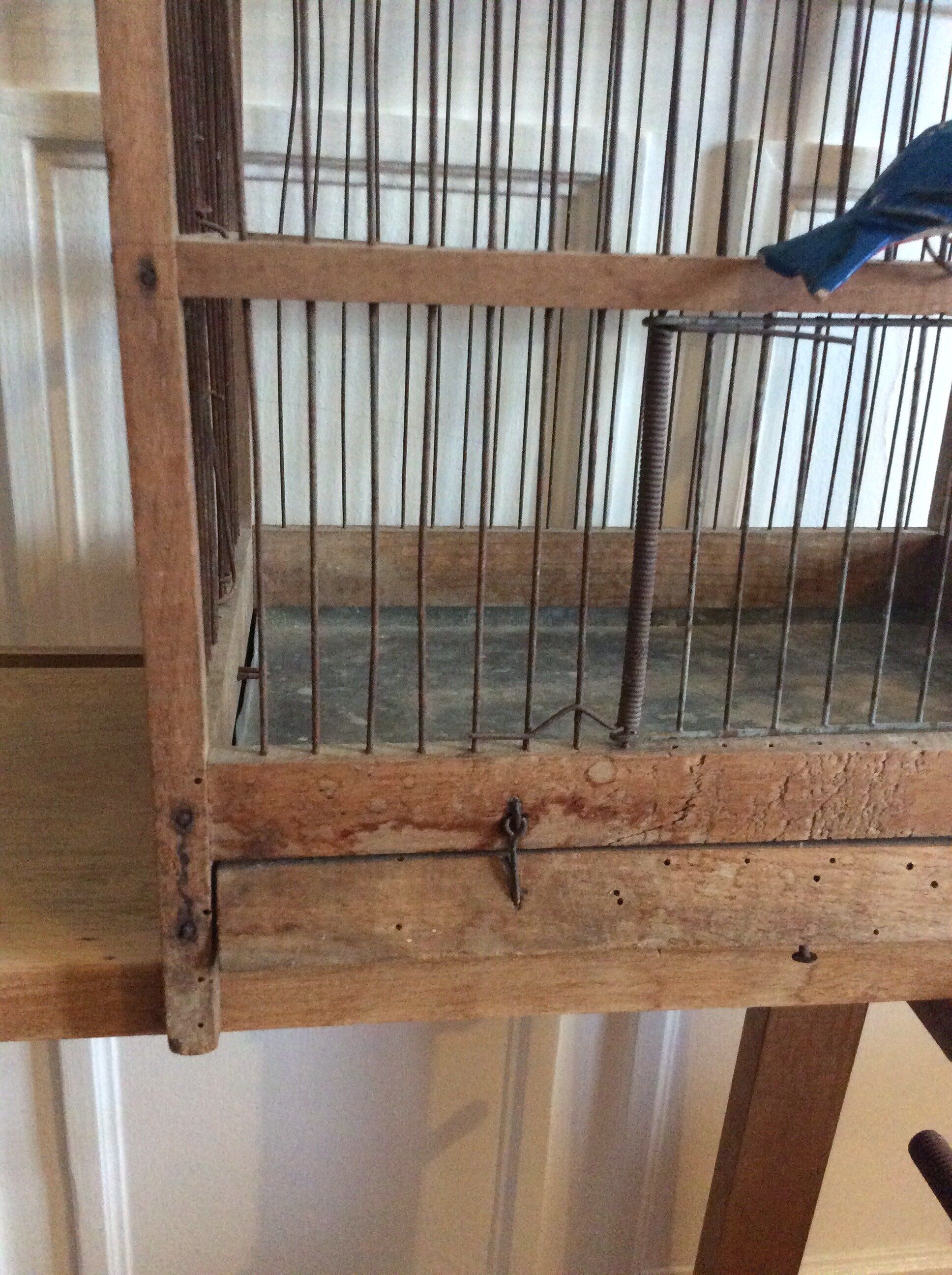 Birdcage in early 20th century