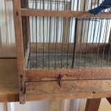 Birdcage in early 20th century