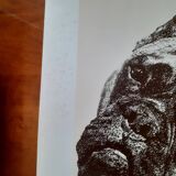 Reproduction d'un dessin au crayon d'un boxer