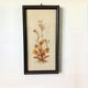 Frame dried plants