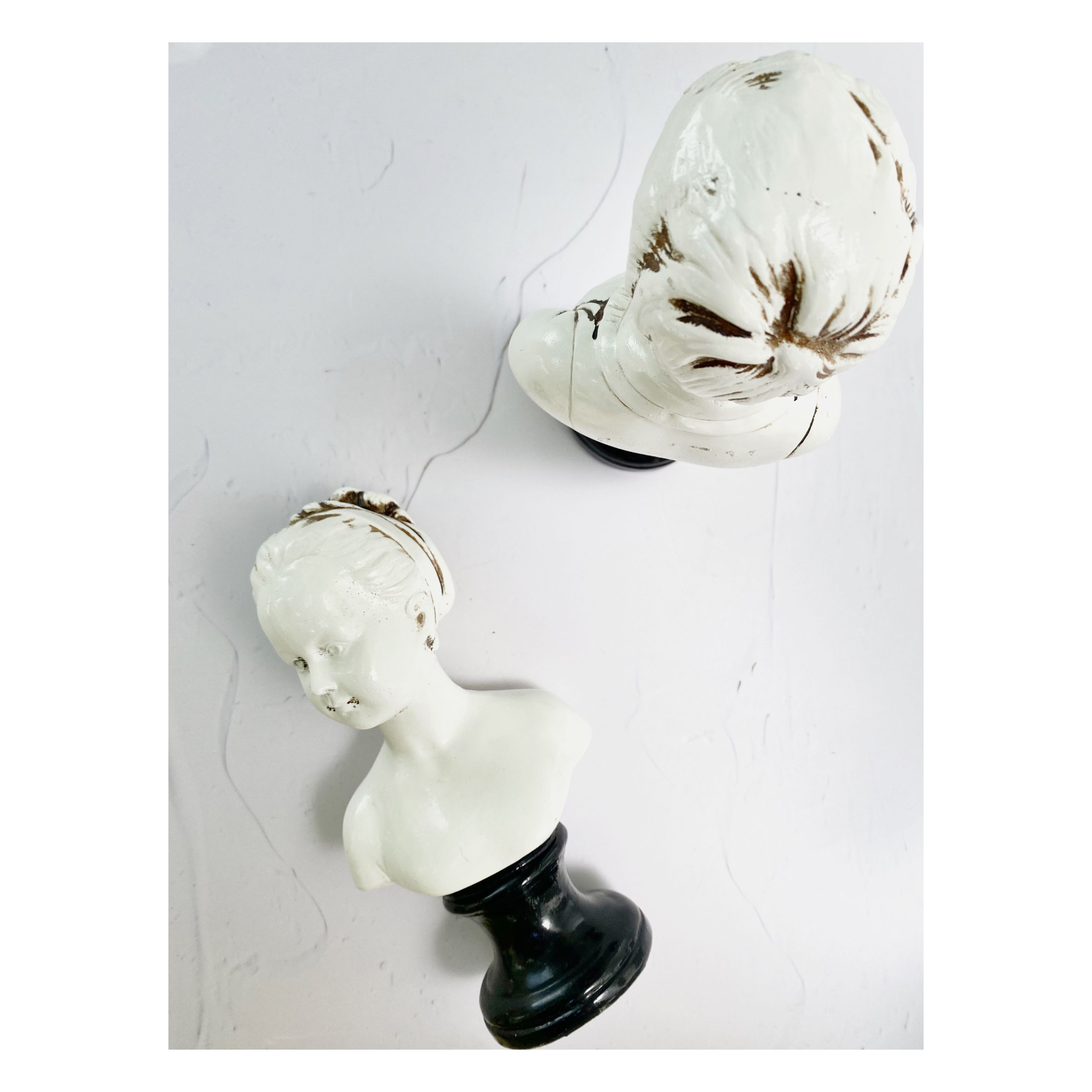 Pair of busts of louise and alexandre brongniart in terracotta