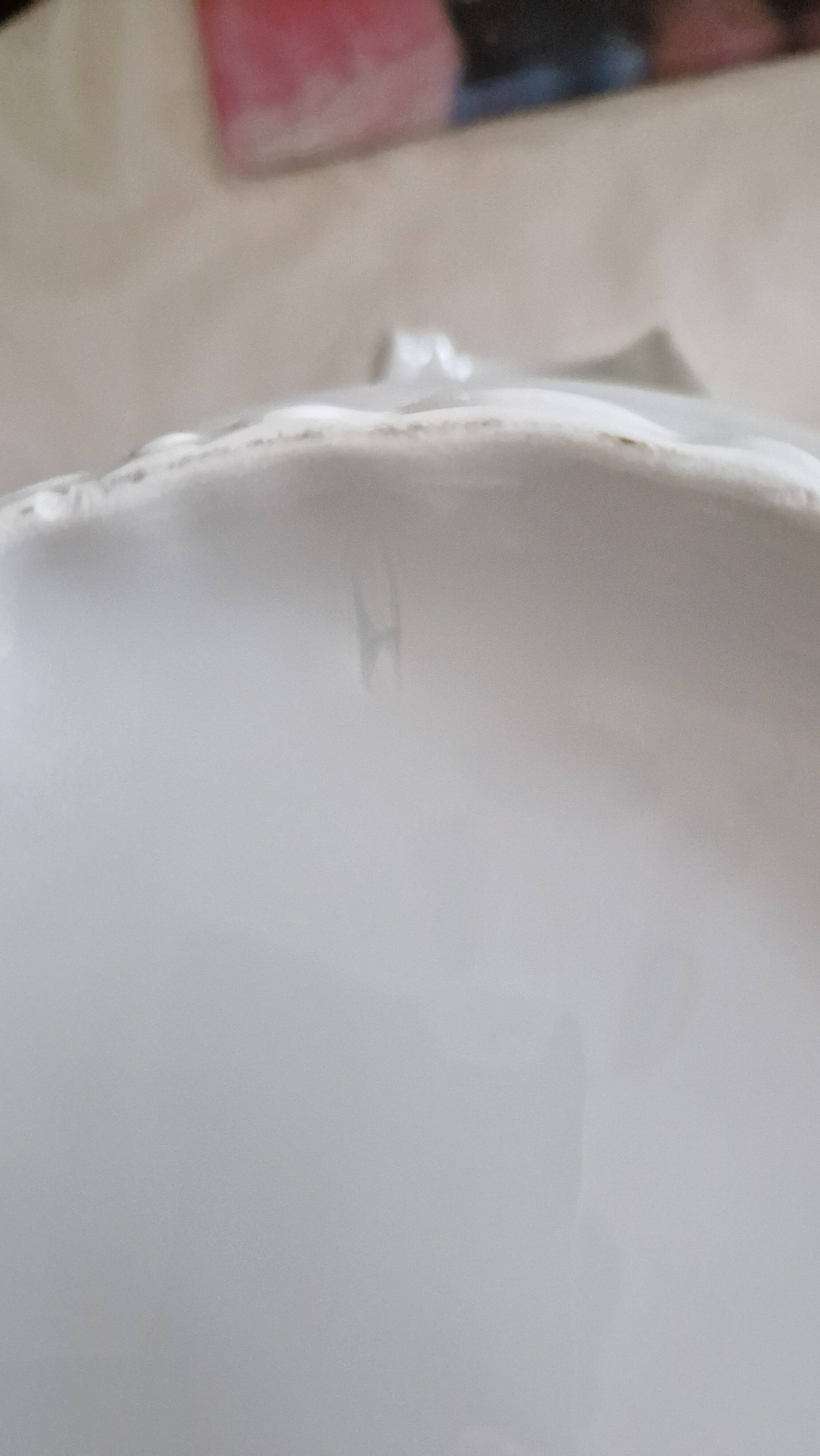 White porcelain soup tureen from Limoges with a vegetal scroll design.