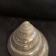 Troca shell decoration 8cm polished pearly Trocca Trochus decoration sea beach vintage old