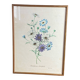 Affiche, planche botanique Brachy Come Iberidifolia