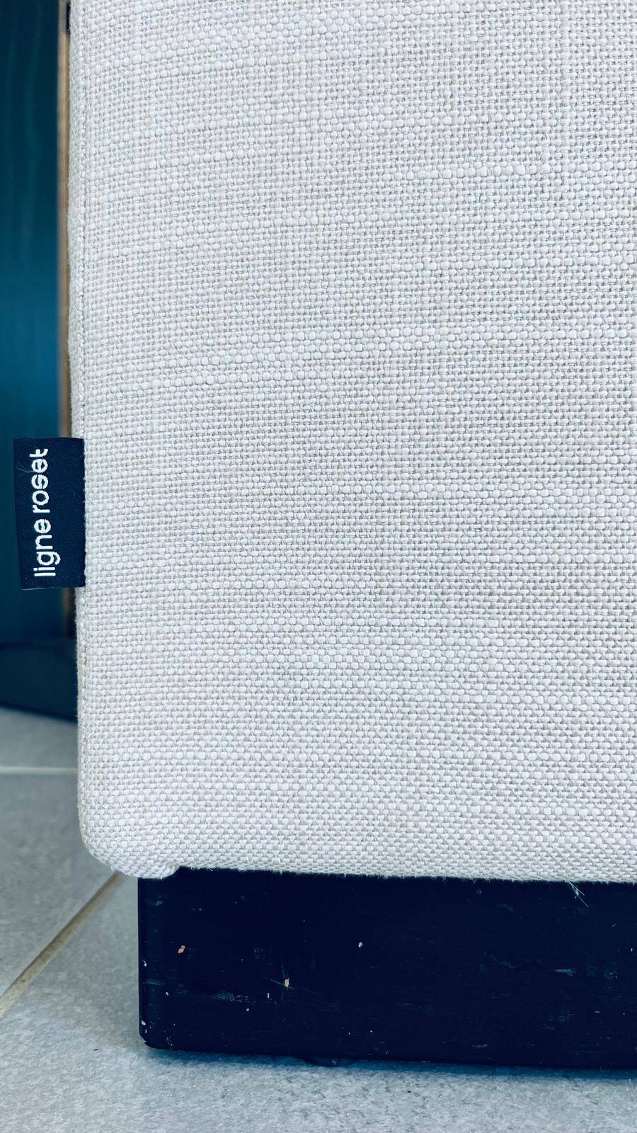 CANAPE DEHOUSSABLE LIGNE ROSET CONFORTABLE
