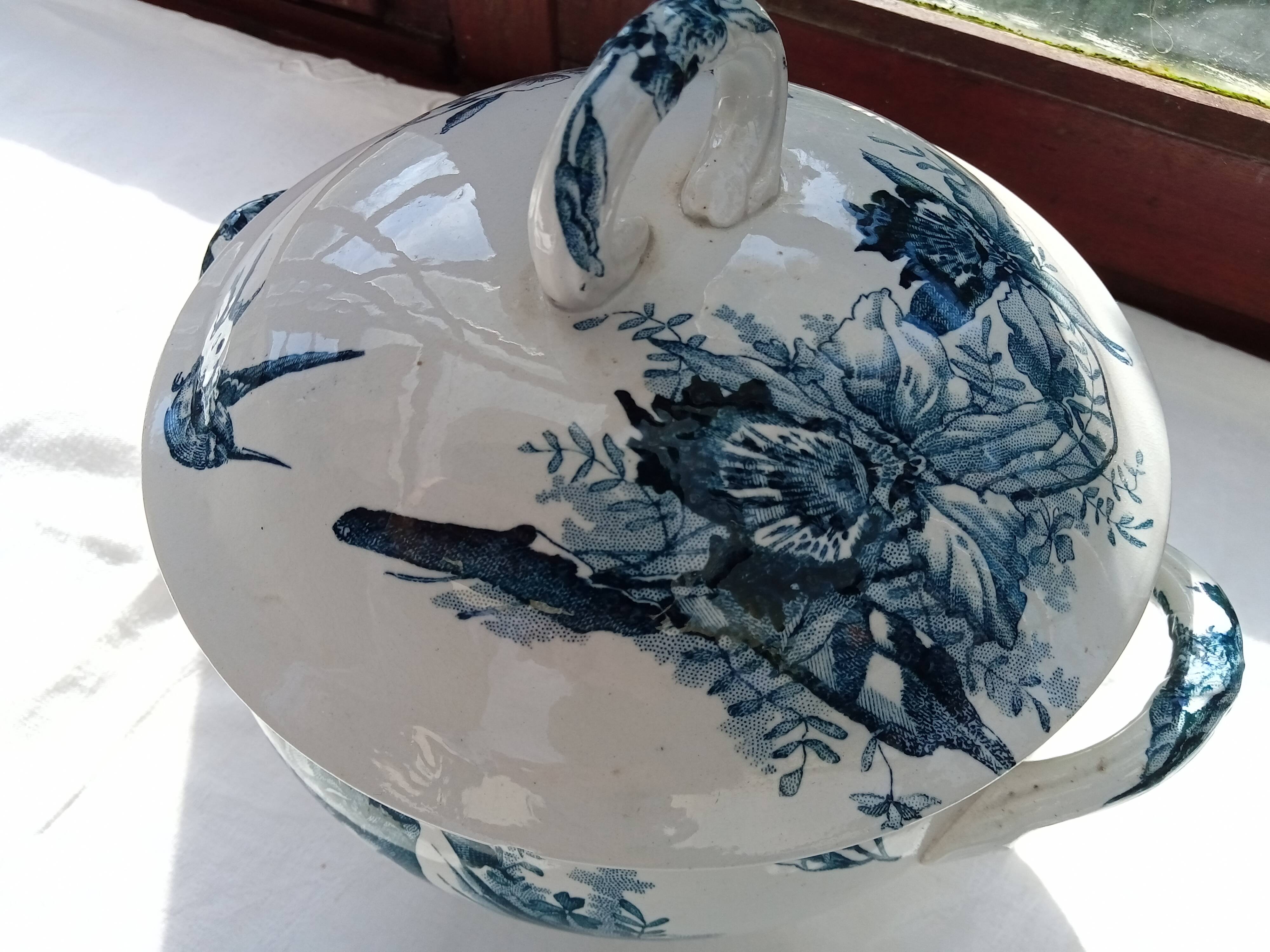 Tureen Iron Earth Orchids